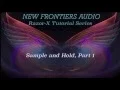 ANIMATOR FOR RAZOR Tutorial 3 Sample and Hold Part 1