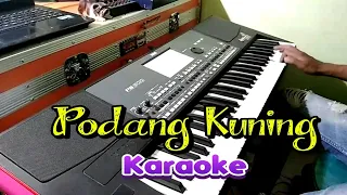 Download PODANG KUNING ( KARAOKE DANGDUT KOPLO ) MP3