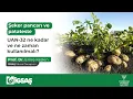 Download Lagu Şeker pancarı ve patateste uan-32 ne kadar ve ne zaman kullanılmalı?