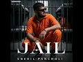 Jail - Snehil Pancholi
