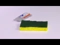 How to Clean Up Spilled TERRO Liquid Ant Bait
