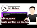 Shell script to iterate over files in a directory