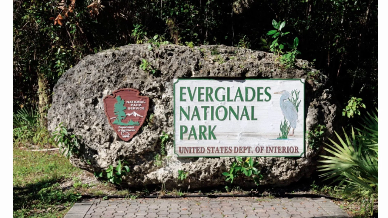 Geology and Ecosystems of Everglades National Park