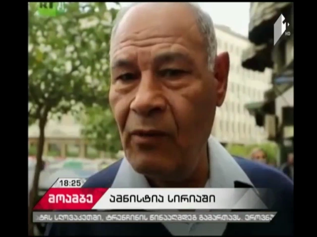 „თქვენ უბრუნდებით ჩვეულებრივ ცხოვრებას“- სირიაში ამინისტია დასრულდა