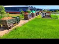 Full Video Completed 98% Processing Landfill Using Dozer Push Soil \u0026 Dump Truck 5Ton into Rice Field