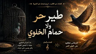 طير حر ولا حمام الخلوي     أغنية حزينة عن الحرية والكرامة   كلمات مؤثرة   جديد         أغاني حزينة دندنها