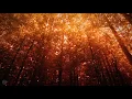 The Spirit of Fall 🍁🍂 - Peaceful Music and Sounds of Nature Celebrating the Season of Autumn