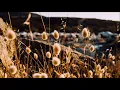 Barry Hudson-Taylor - Motion