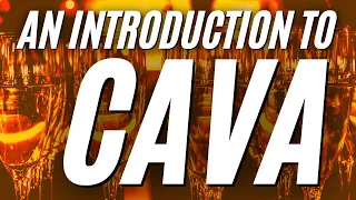 An Introduction to CAVA - What you need to know about this Sparkling Wine