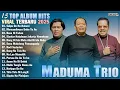 Download Lagu Maduma Trio Album Terbaru 2025 || Lagu Batak Viral Terpopuler Saat Ini Enak Didengar - TRIO MADUMA