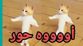 اغنية حور القمر احلى البنات سطلانة السعودية الامارات تركيا قطر مسقط البحرين دبي العراق المغرب جدة 