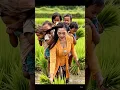 Download Lagu Viral! Pesona janda muda