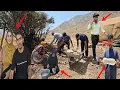 Download Lagu Dangerous snake in the middle of nomadic life! 😱 | Shahram and Fatemeh return from the doctor