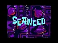 Download Lagu Seaweed 2 - SpongeBob Soundtrack