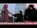 Download Lagu Zaalikaan mana kiyyaa dhuftee aja'iba na goote narra bahu dide.na dhoksii bakka buluu dhabe