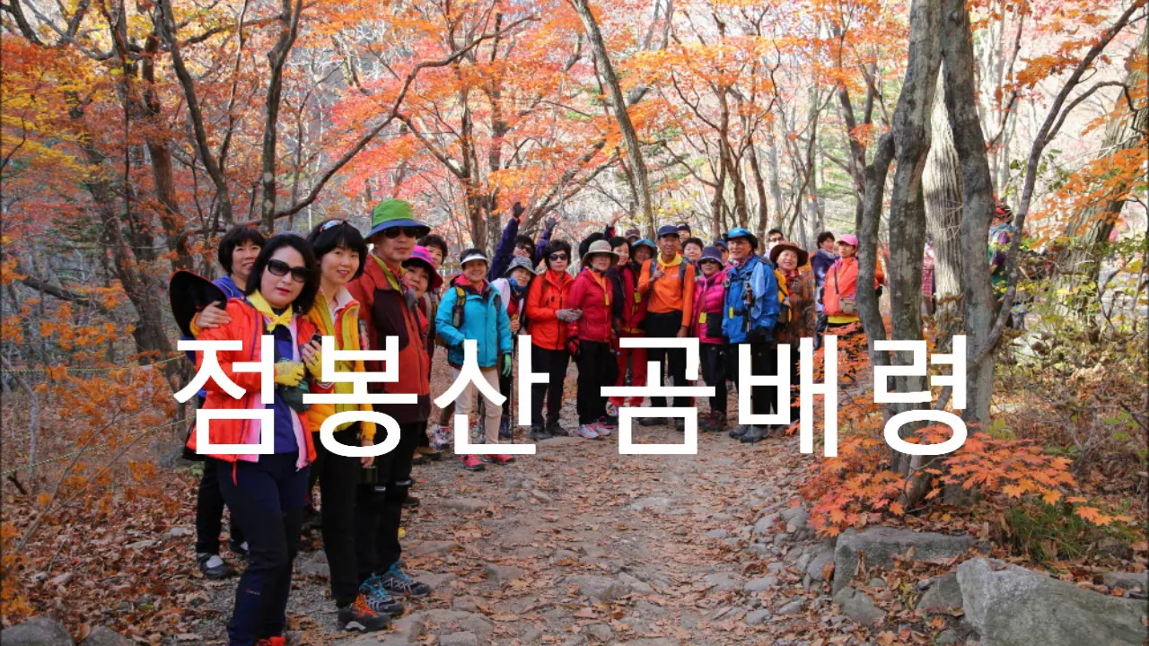 관련 영상 썸네일