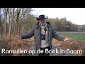 Lagu Ransuilen op de Brink in Baarn #1728