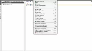 Checking The Python Version We Are Using