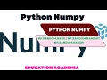 Different Random Functions in Numpy