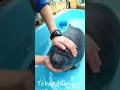 ugly seal gets teeth checked