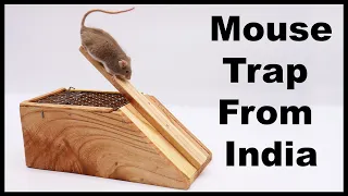 Mouse Trap From India Mousetrap Monday