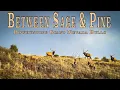Bowhunting Giant Nevada Elk Between Sage Pine