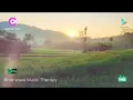 Download Lagu INDONESIAN'S BRAINWAVE  l  SEMANGAT PAGI l ERBE SENTANU