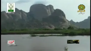 قهوا عامرية نشاط مية المية دندنها