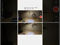 Animating Stop Motion Paper