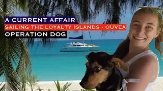 SAILING THE LOYALTY ISLANDS – ANIMAL WELFARE  – OUVEA NEW CAL