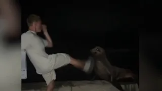 18-year-old pleads guilty in viral La Jolla sea lion attack NBC 7 San Diego