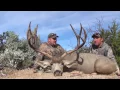 Download Lagu Wapiti Ridge Outfitters Mexico - Mule Deer