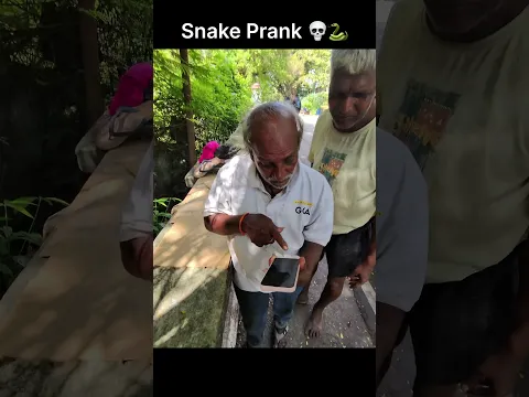 snake prank 💀 #prank #pov