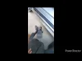 2011 Chevy impala accelerator pedal replacement P2138 possible fix