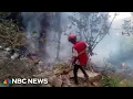 Telemundo executive among those killed in Kenya helicopter crash