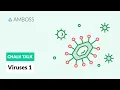 Viruses - Part 1 Enveloped and Non-Enveloped Viruses