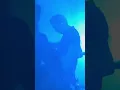 Sæglópur - Glastonbury 2016