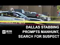 Manhunt underway after Dallas stabbing officers opened fire as suspect fled