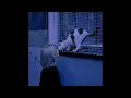 Download Lagu Clara La San - Want U (Slowed + Reverb)