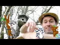 Tropical le paresseux (chanson avec chorégraphie pour les moins de 6 ans)