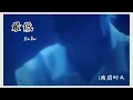 【1時間耐久】【作業用BGM】れん / 最低(Acoustic ver.)