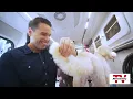 The ruff life of a mobile pet groomer