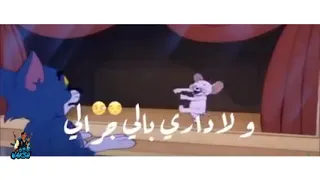 بقالى ليالى بنادي حبيبي ما جالي 