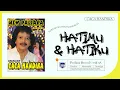 Download Lagu Caca Handika Feat Lilin Herlina - Hatimu Dan Hatiku - New Pallapa ( Official Music Video )