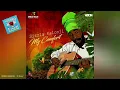 S I Z Z L A Greatest Hits All Clean Songs Album Mix 2021