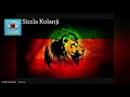 Download Lagu S I Z Z L A Greatest Hits All Clean Songs Album Mix 2021
