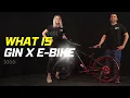 Lagu GIN X electric bike | The All-In-One e-bike 2025