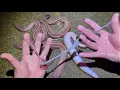 Download Lagu When I touched the hagfish, a disgusting amount of ◯◯ came out...
