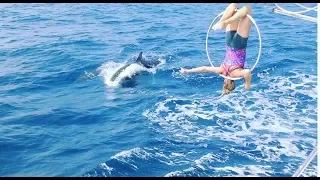 Hanging from a Sail Boat SAILING with DOLPHINS  Episode 55 (Sailing Catalpa)