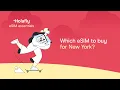 How to Choose eSIM for New York Holafly